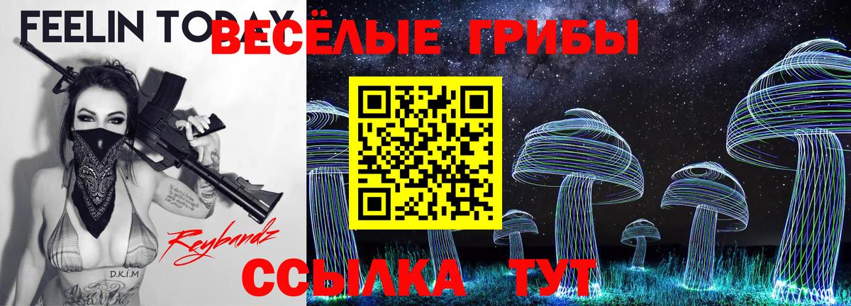 Псилоцибиновые грибы мицелий  дарнет шоп  Городец  Вход с VPN 